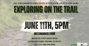 Exploring on the Tra